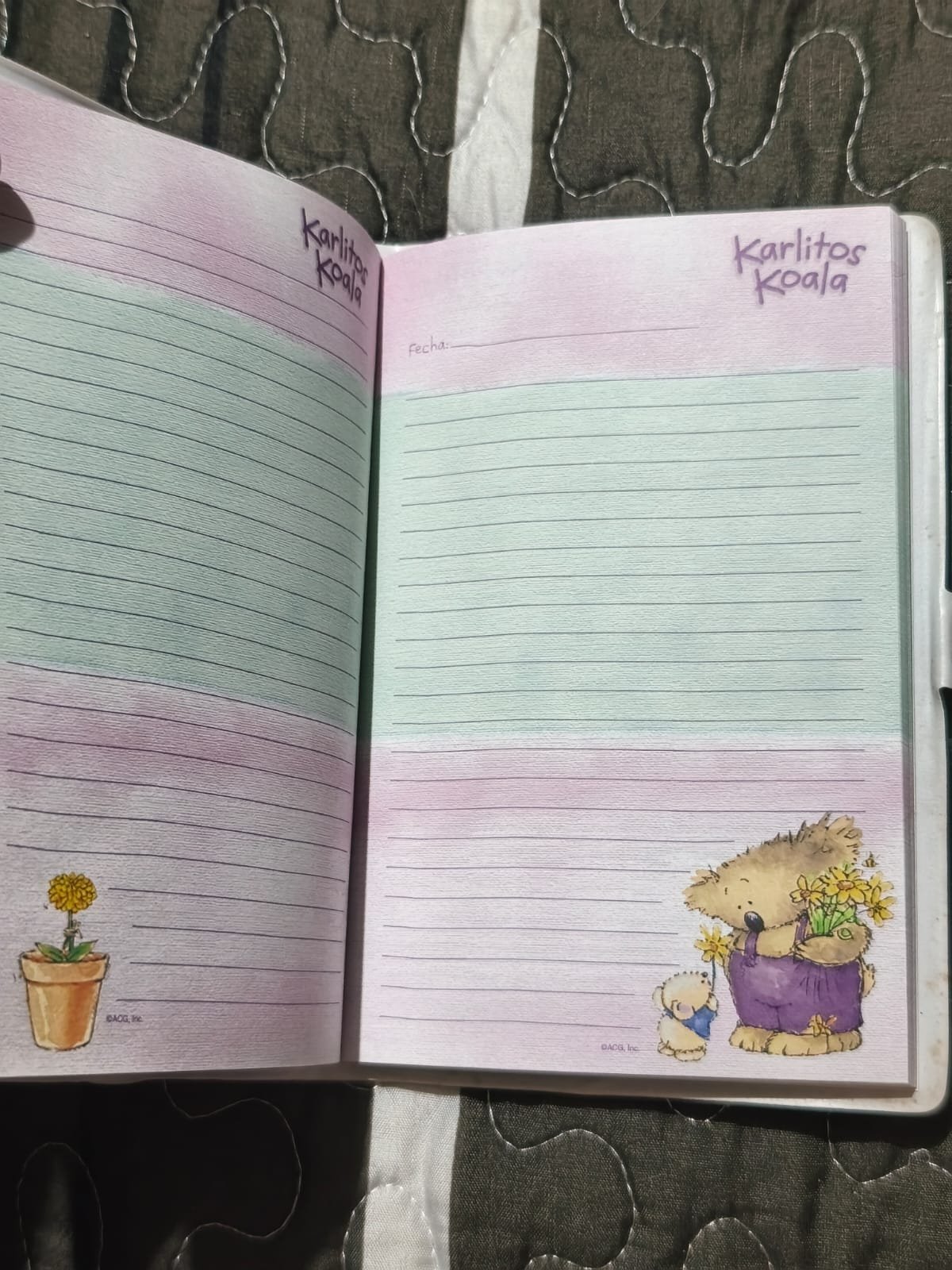 Diario de vida de Karlitos Koala - Imagen 3