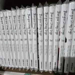 Manga Bungou Stray Dogs 1-19 Norma Físico