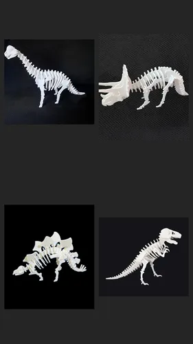 Card Kit 3d Dinosaurio Esqueleto T-rex 4 Set Completo